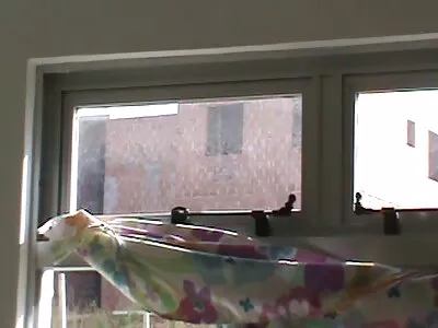 Cutie porrfilm gruppsex med medelstora tuttar suger kuk och blir cum