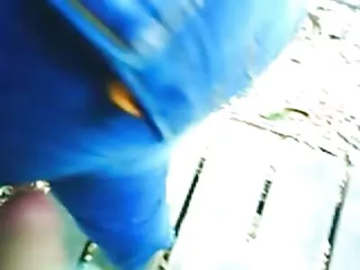 Söt italiensk porrfilm brunett kvävs nästan av het jizz